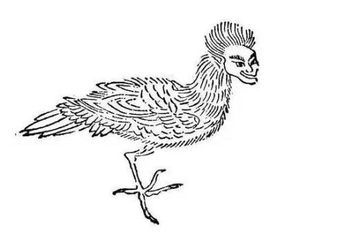 有特异功能的人面鸟——山海神兽知多少