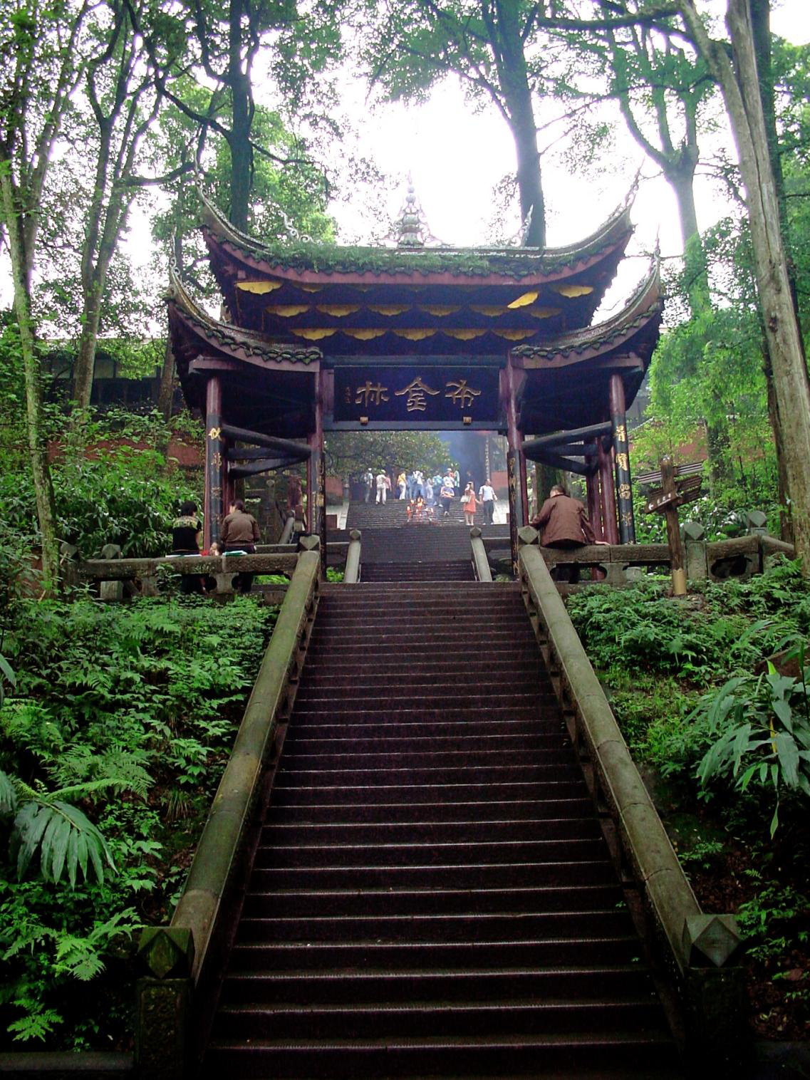 乐山旅游丨最具特色的四川美景,乐山大佛,峨眉旅行攻略悉数奉上