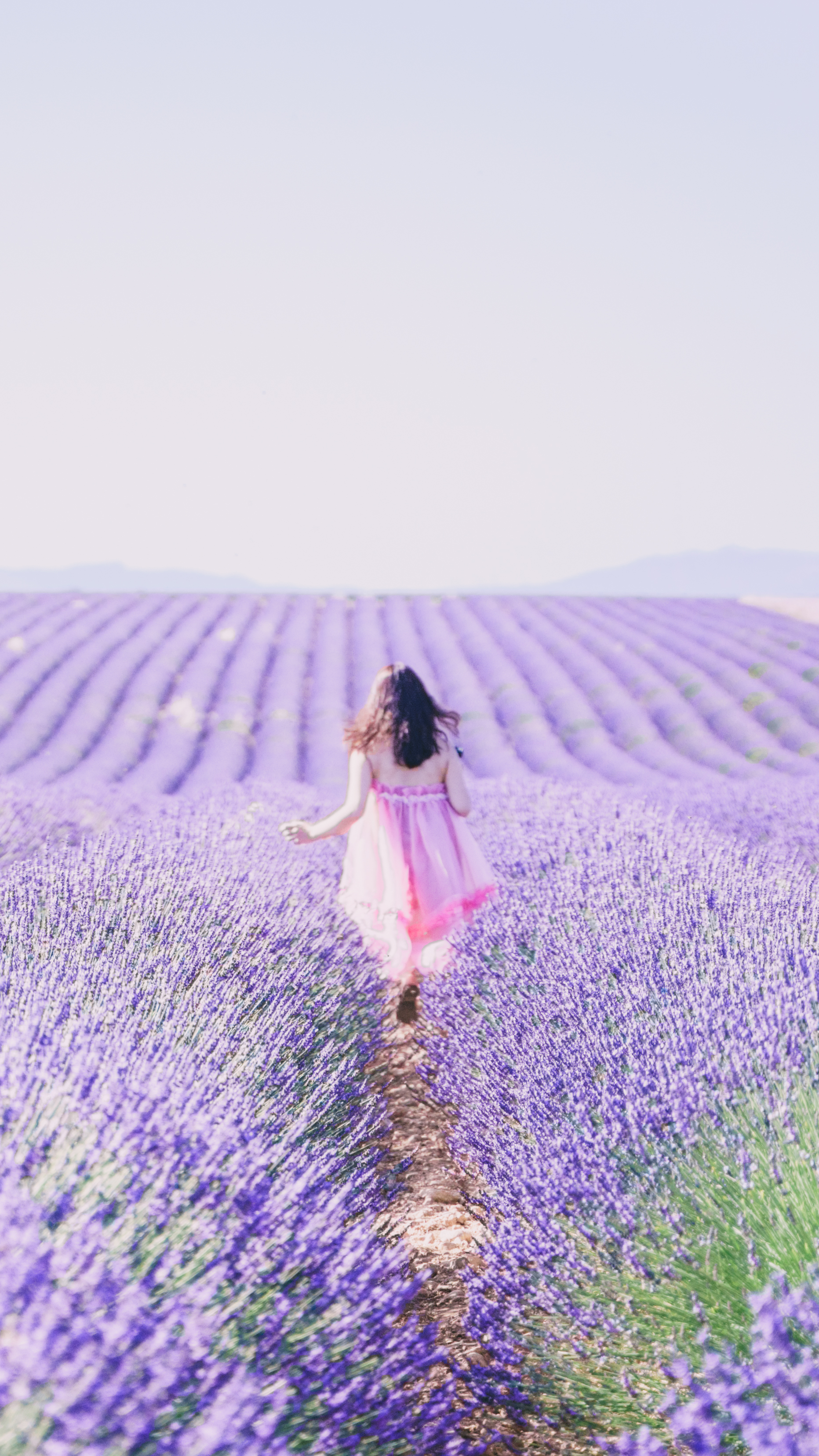 世界上最美薰衣草田 法国普罗旺斯旅行攻略