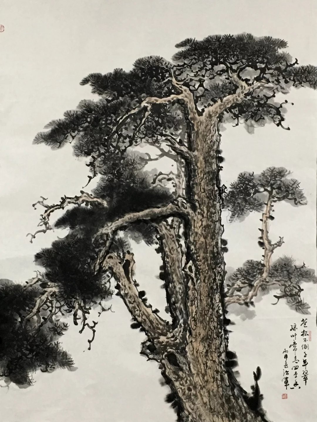 岁寒知松柏凋也