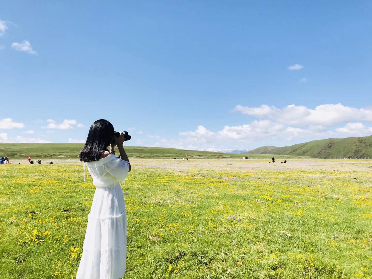 成都游玩攻略三日游自由行(成都游玩攻略三日游自由行住便宜的地方)（成都旅游攻略三日游必去景点有哪些）(图2)