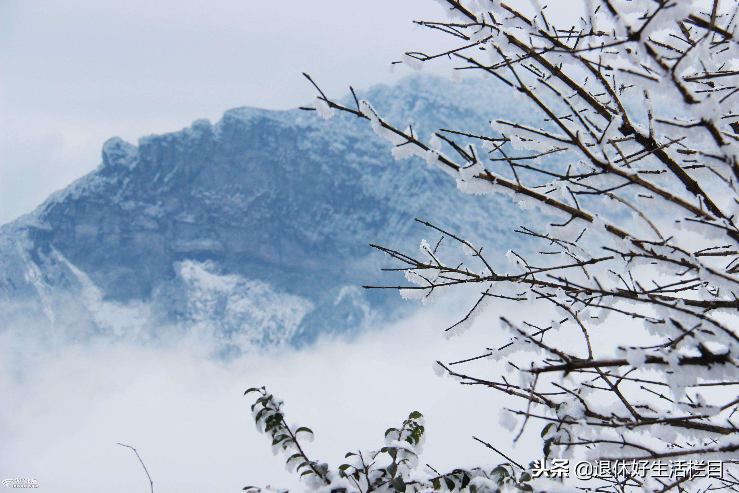 贵州最美雾凇圣地，这个冰雪世界，不看对不起冬天！
