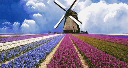 447_240gif 动态图 动图