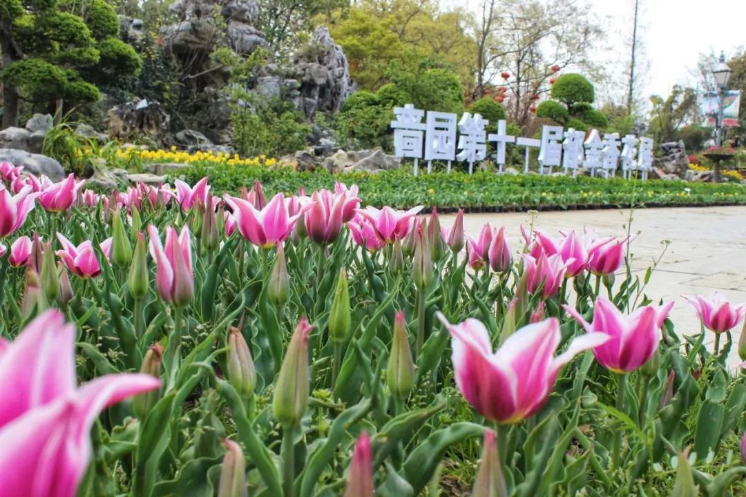 路150號金島生態園金島生態園位於位於如皋長青沙生態旅遊度假區內,園