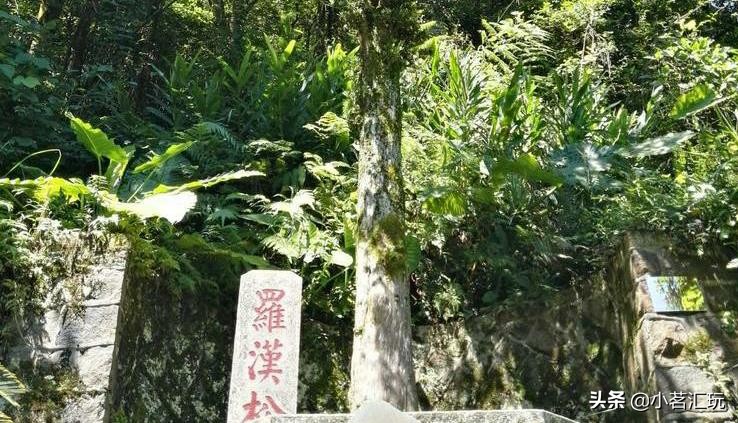 国庆旅游景点推荐—安溪清水岩