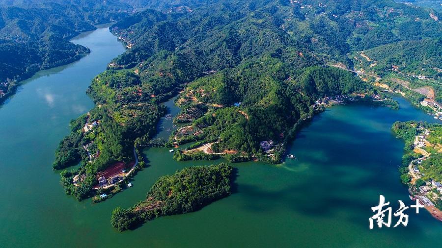 大埔县青溪镇:红绿相融 打造生态旅游型森林小镇