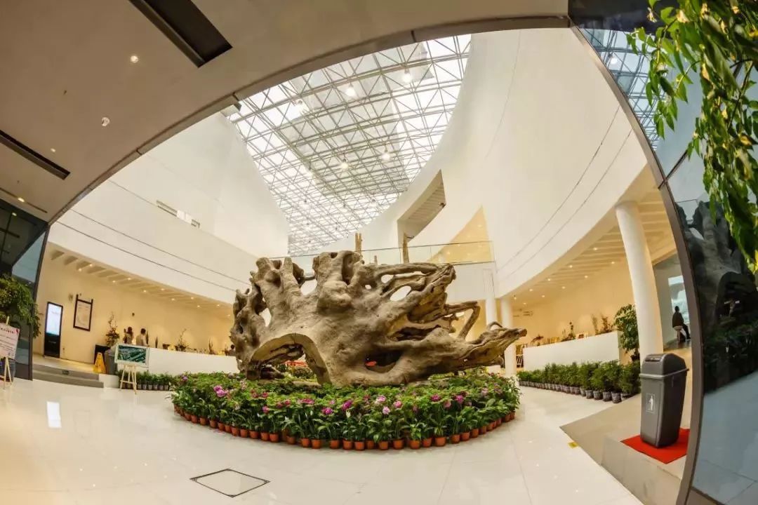 上海木文化博物馆,这里有众多中外名家及国家级工艺大师的作品,集名木