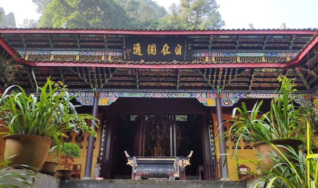 来一次说走就走的峨眉山免费旅游~嗨不嗨!