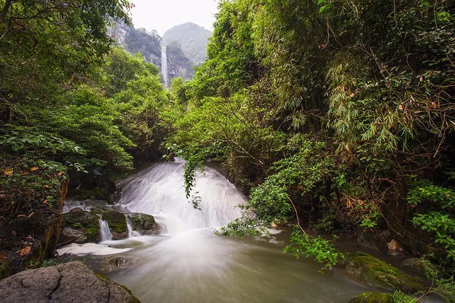 速度围观|环江牛角寨瀑布群景区向市民送门票啦!