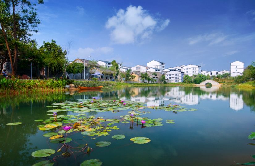 「元旦攻略」南宁各景区元旦活动大全,让你玩个够!