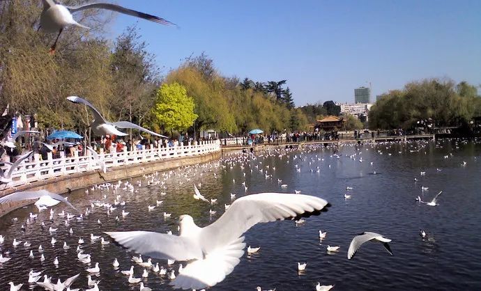 昆明地铁沿线旅游景点图片