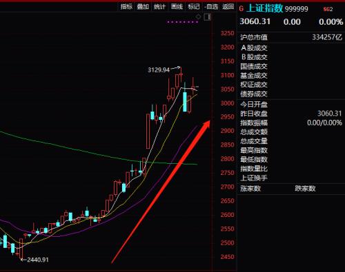 加杠杆炒股凶猛：融资盘激增1663亿 最受宠是谁？