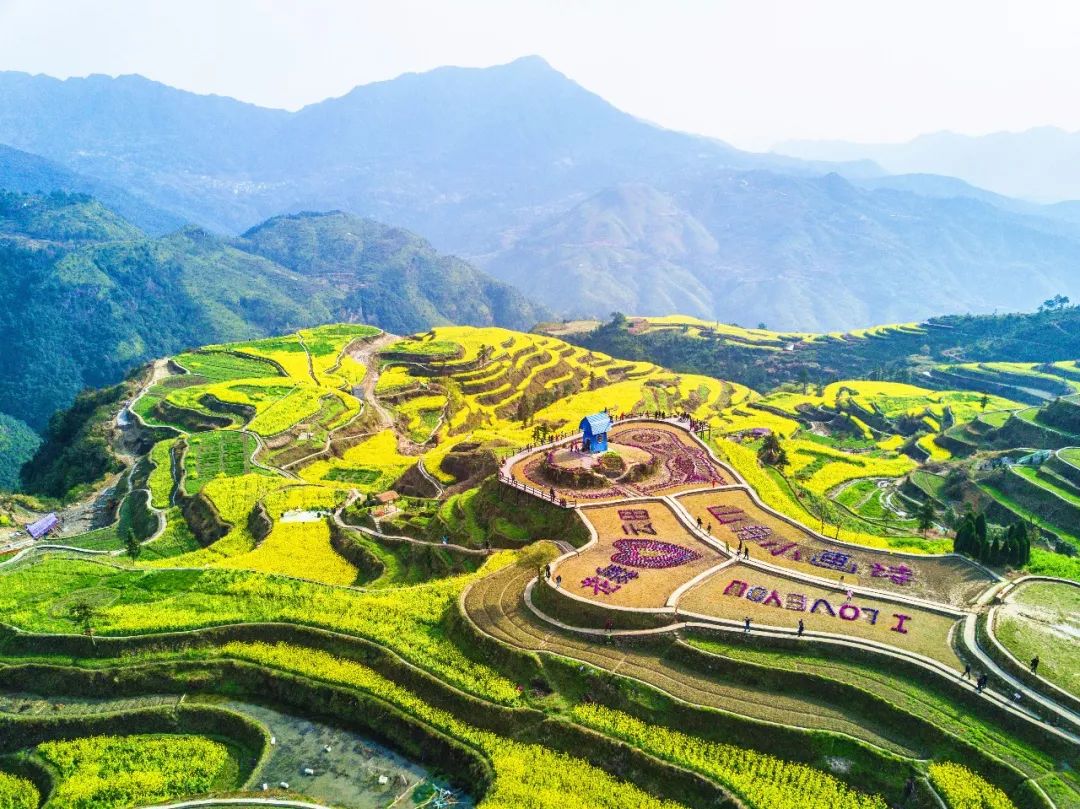 江西婺源油菜花旅遊景點地址_油菜花之鄉婺源 - 密雲旅遊