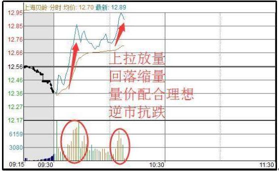 写给在中国股市亏损的散户：耐心比什么都重要，长期持有，反复做T