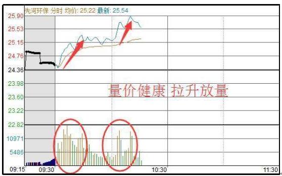 写给在中国股市亏损的散户：耐心比什么都重要，长期持有，反复做T