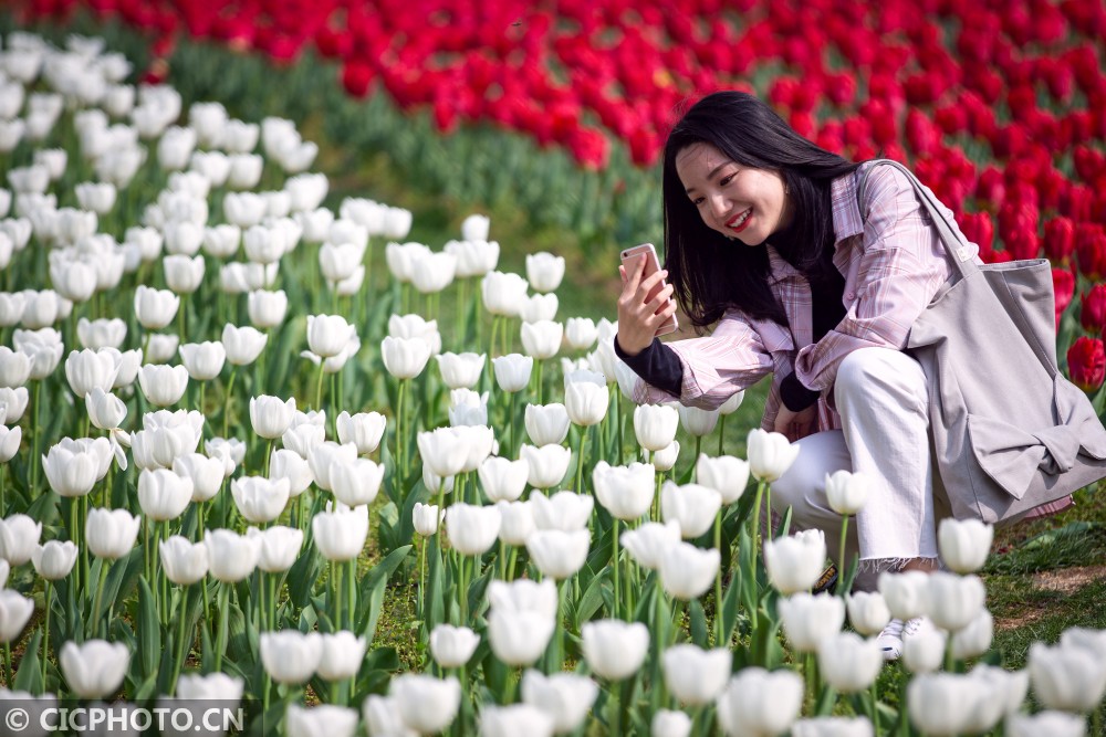 清明时节 踏青赏花