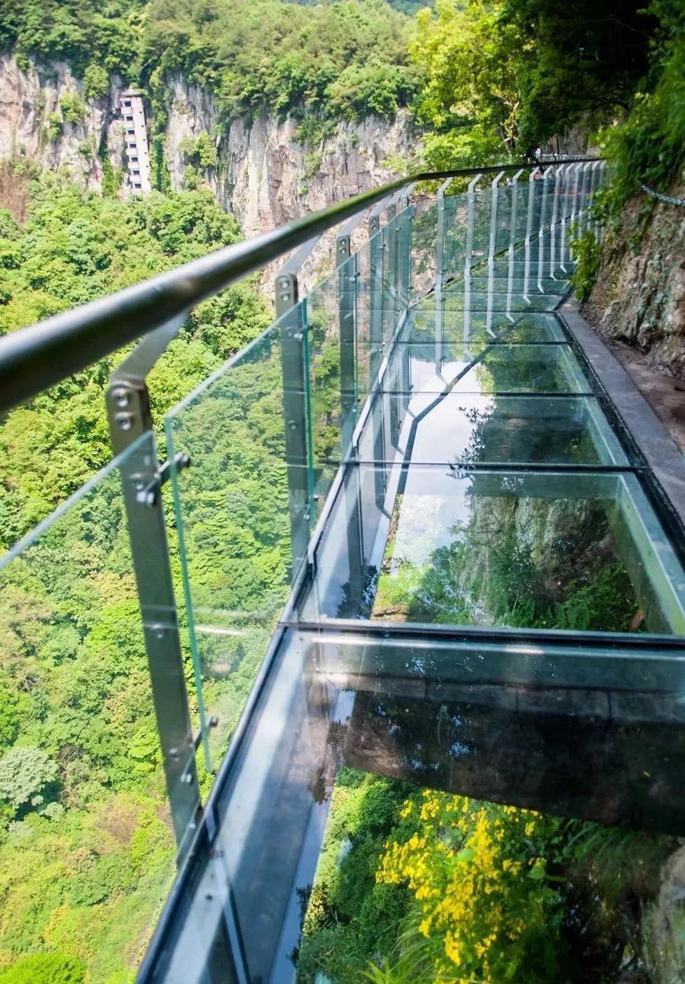 杭州周边的网红玻璃栈道了解一下,"云端漫步"的感觉你不想试试吗?