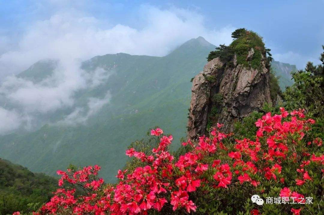 岭上开遍哟映山红