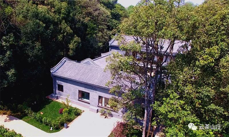 云茶山庄 镶嵌在峨山的碧绿大氧吧