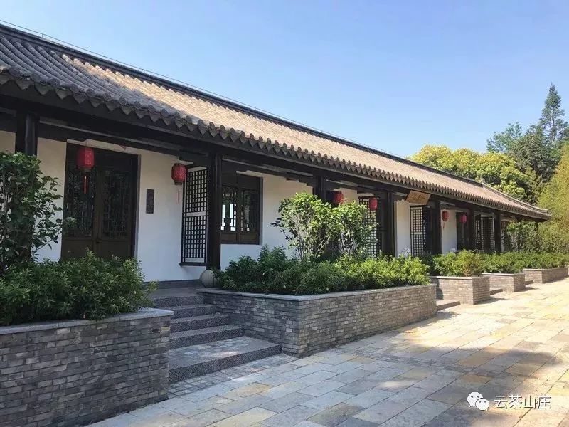 云茶山庄 镶嵌在峨山的碧绿大氧吧
