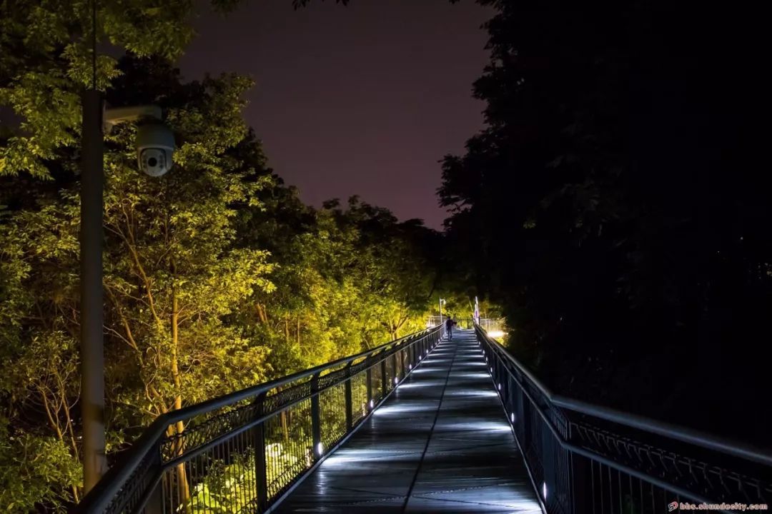 来看作为大良新晋夜景地标,华盖山栈道绝对值得一去.