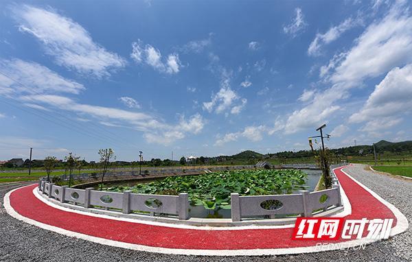 衡阳县：农业综合开发项目改善农业生产条件美了乡村