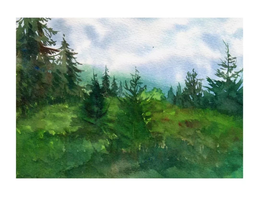 水彩体验课 | 绿树阴浓夏日长