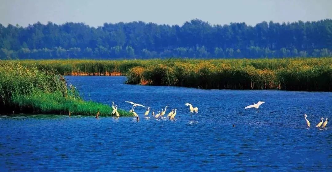 单县旅游景点有哪些_单县旅游景点 - 密云旅游