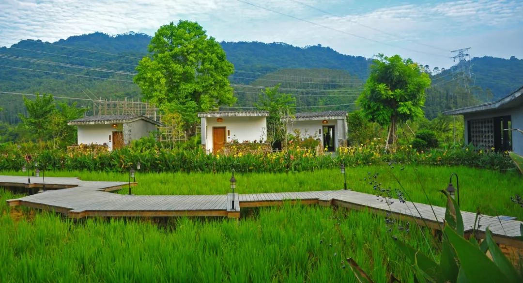 惠州这个村入选全国乡村旅游发展典型案例,快去一睹风采!