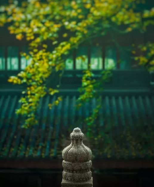 蝉这首诗表达了什么禅的意境的诗词