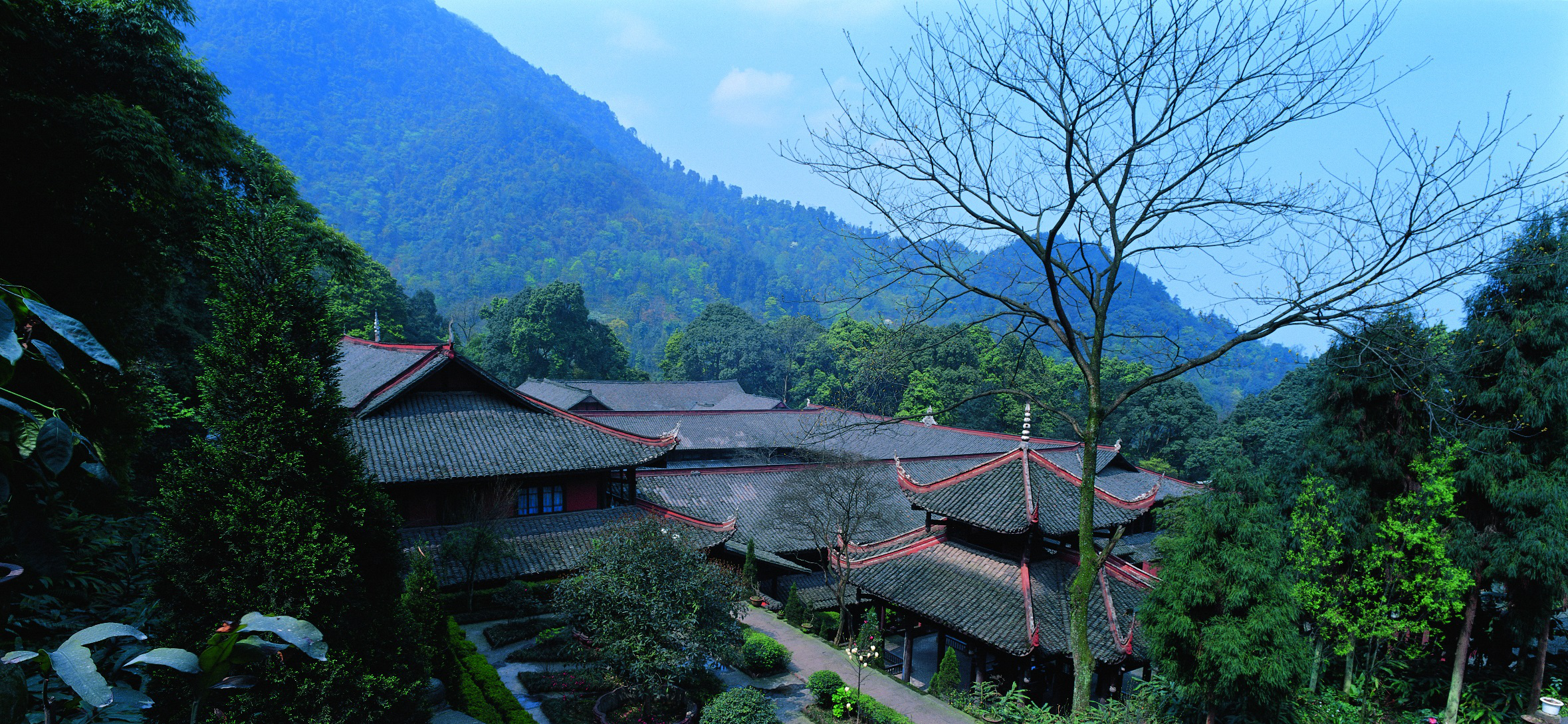 伏虎寺依林而建,背靠伏虎岭,布金林古木葱茏,高出寺庙殿宇许多.