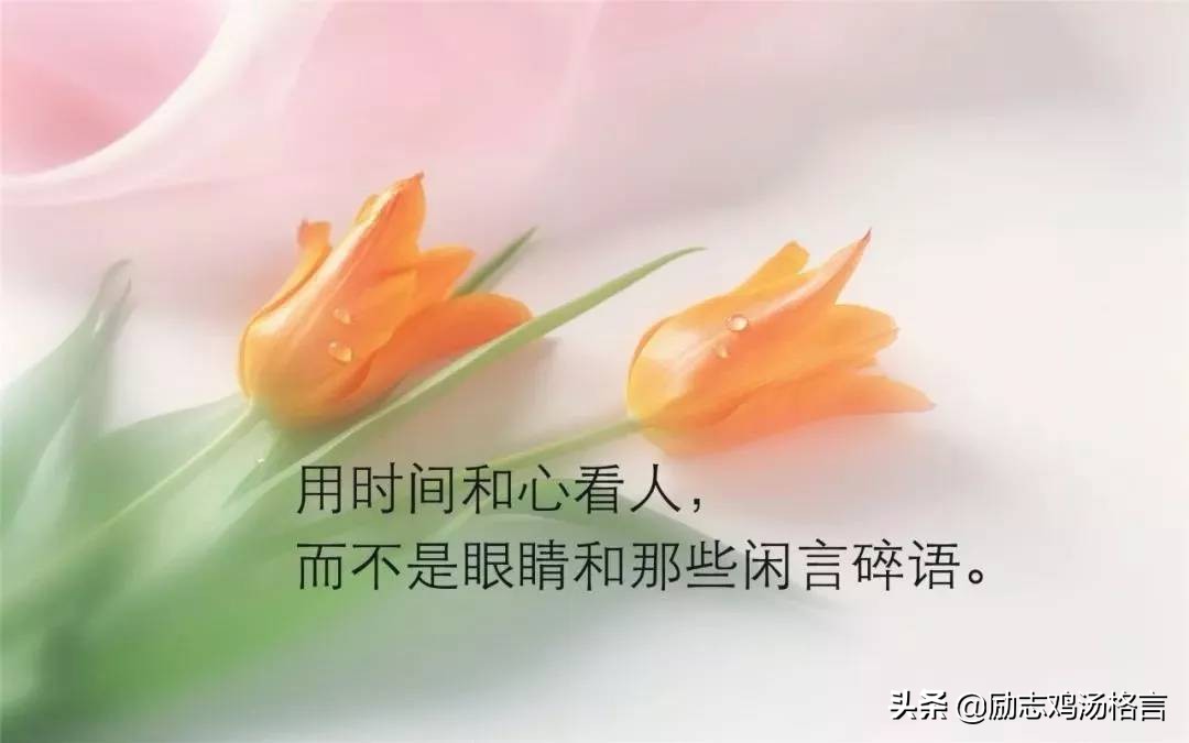 人生哲理经典句子,值得深思的语录