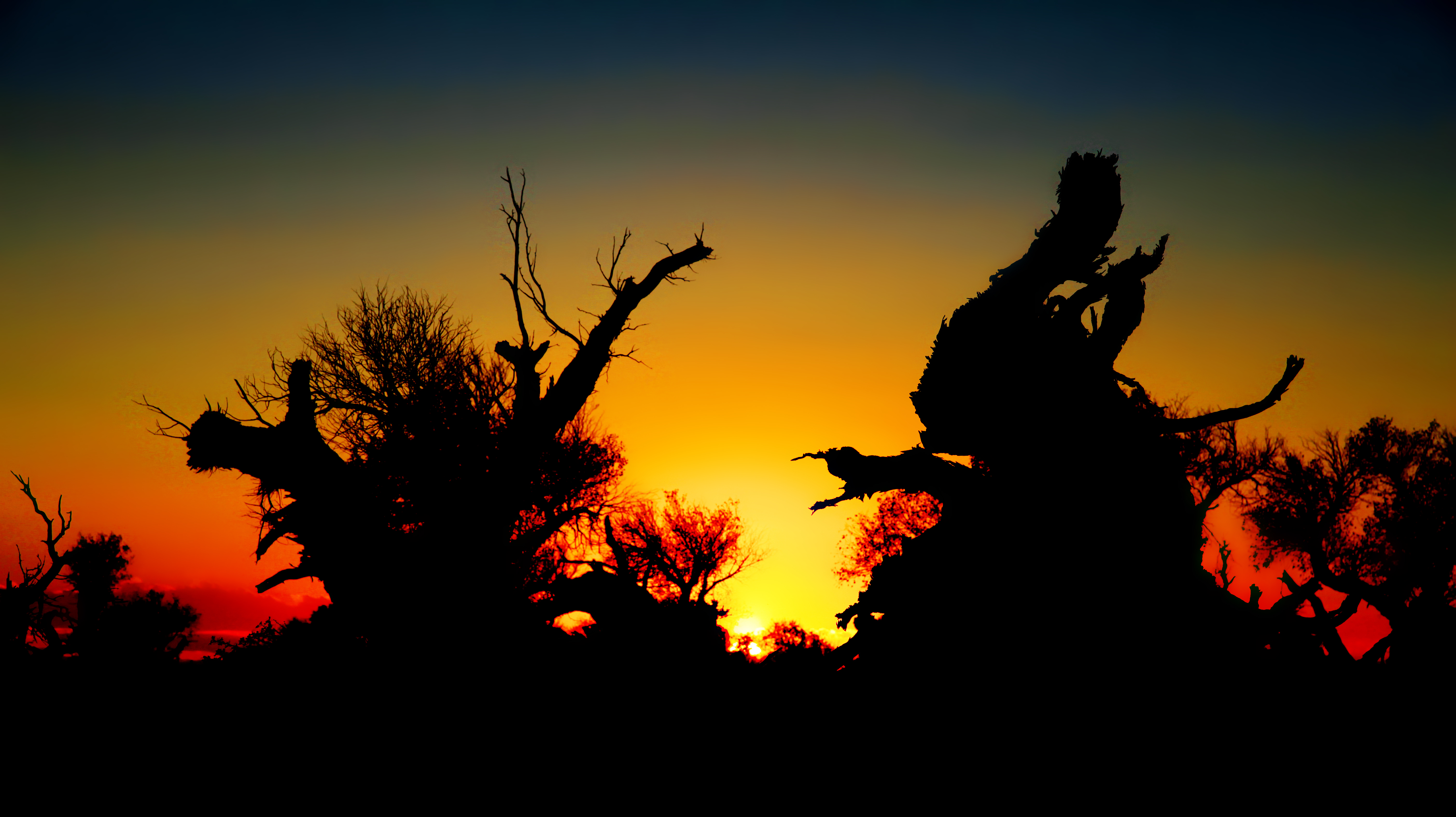 大漠落日,尽染无边风月