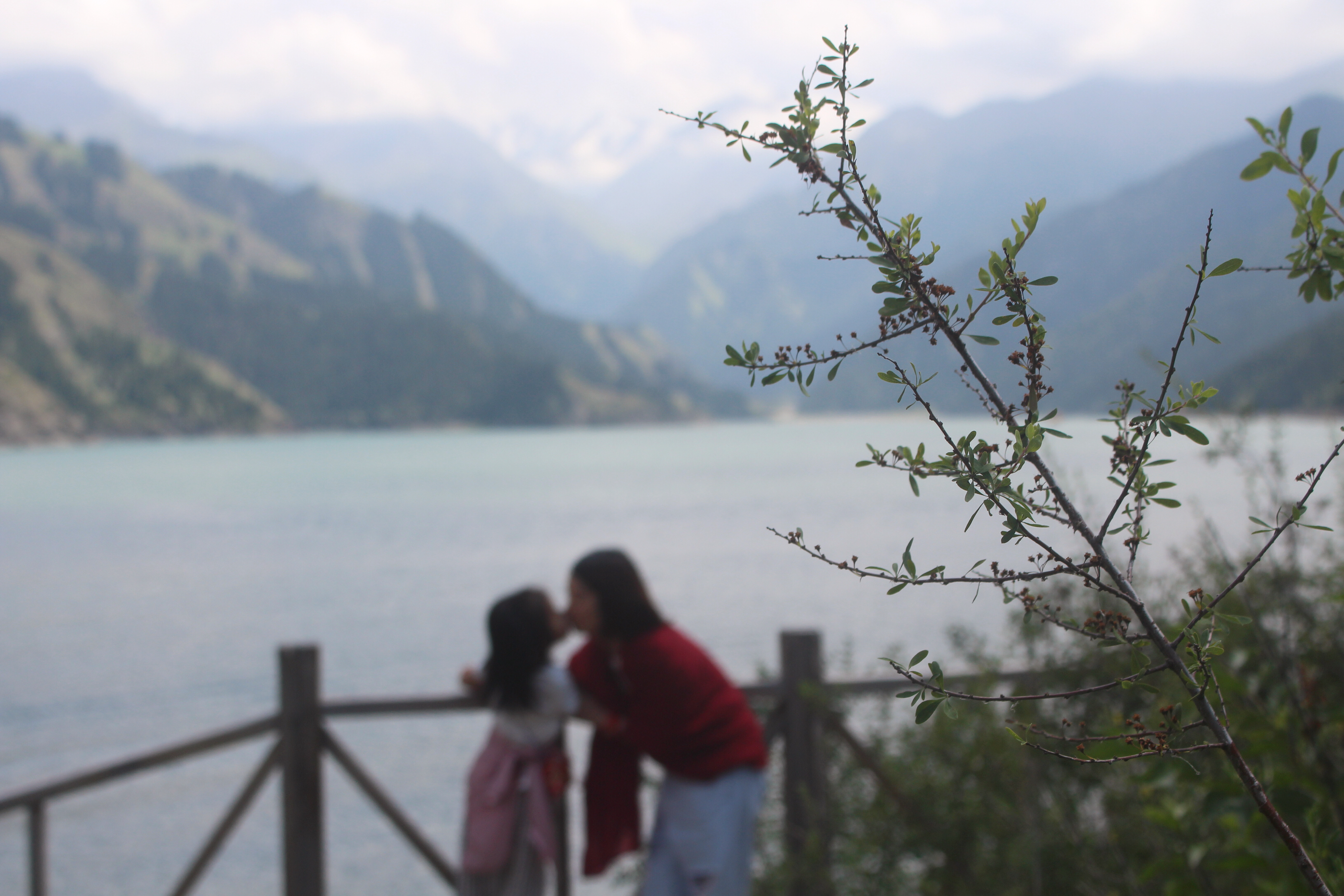 自驾新疆D6天：探访王母娘娘瑶池，天山天池一草一木皆是风景！