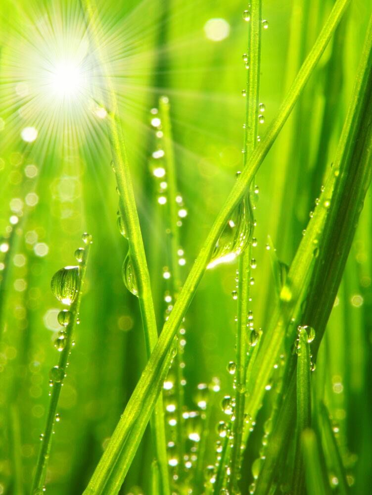 米灵朗诵一首励志诗歌《阳光》,让我们的世界充满阳光