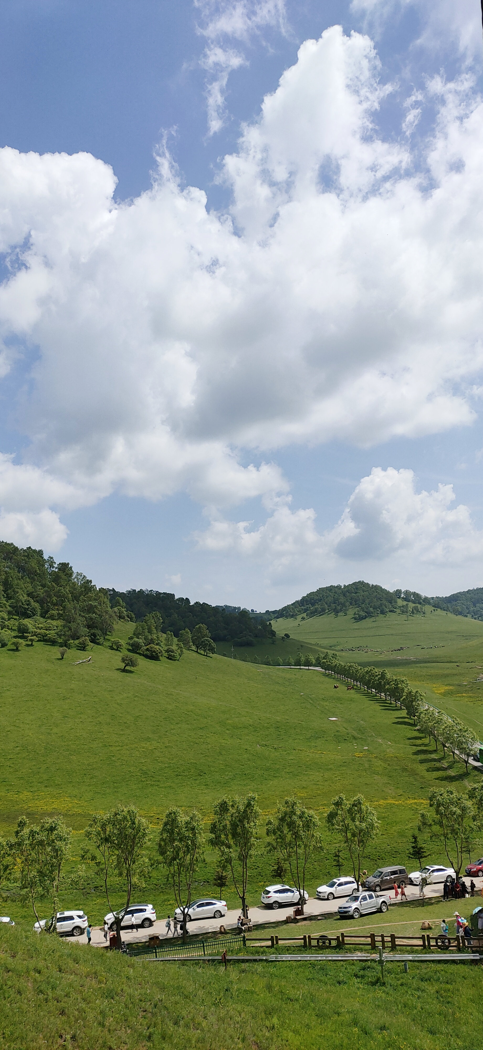 宝鸡关山牧场_陕西关山草原旅游风景区 - 密云旅游