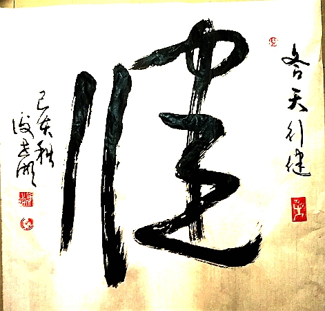 天行健行书_天行健书法作品欣赏字 行书