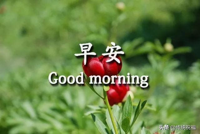 早安语录励志感悟,早上好很火励志经典句子