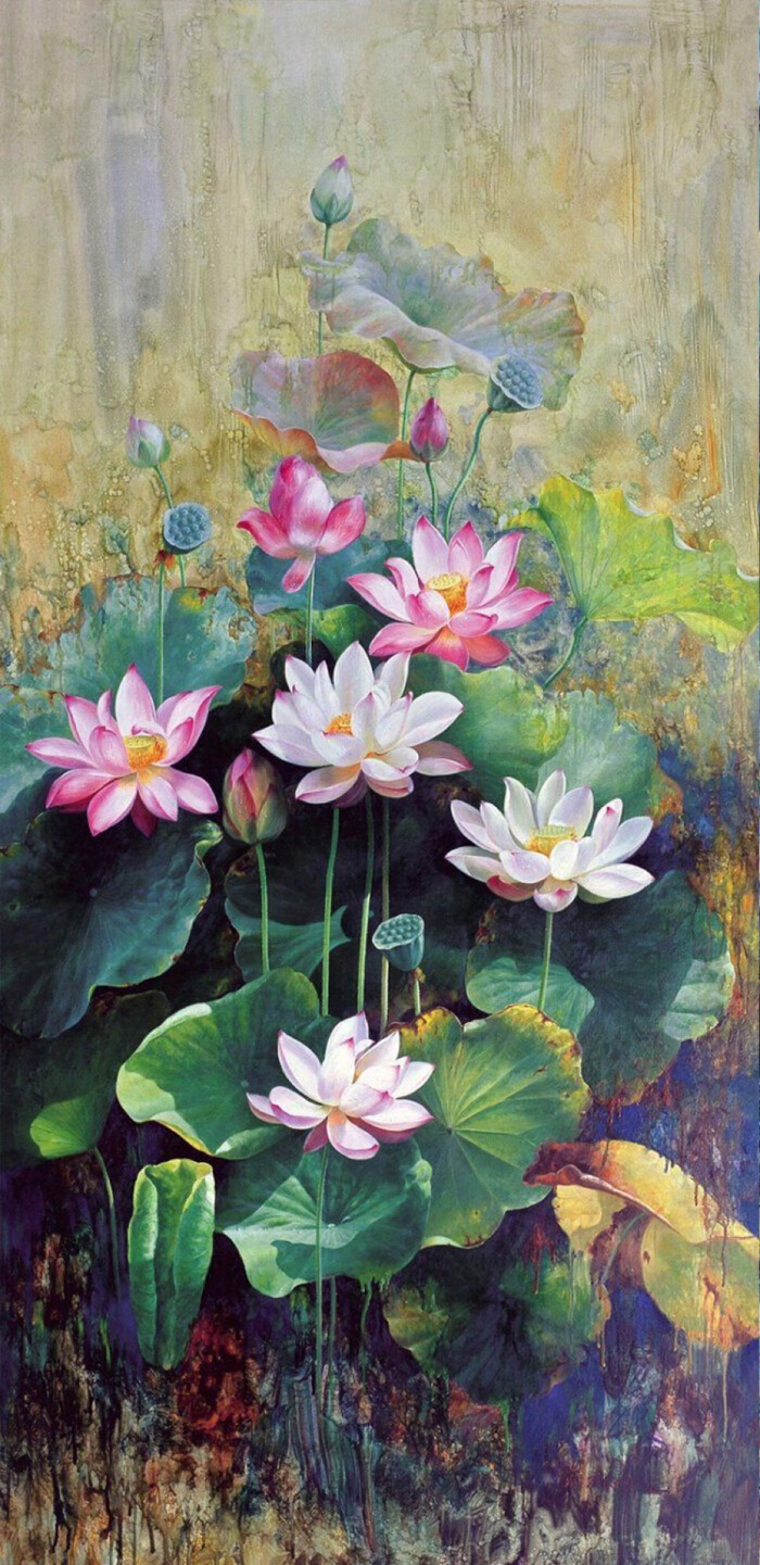 荷花出淤泥而不染濯清涟而不妖的图片_荷花出淤泥而不染图片大全 高清