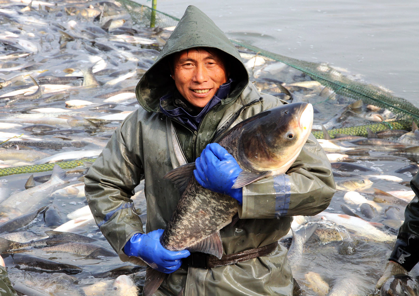 迎春节对联迎接元旦对联
