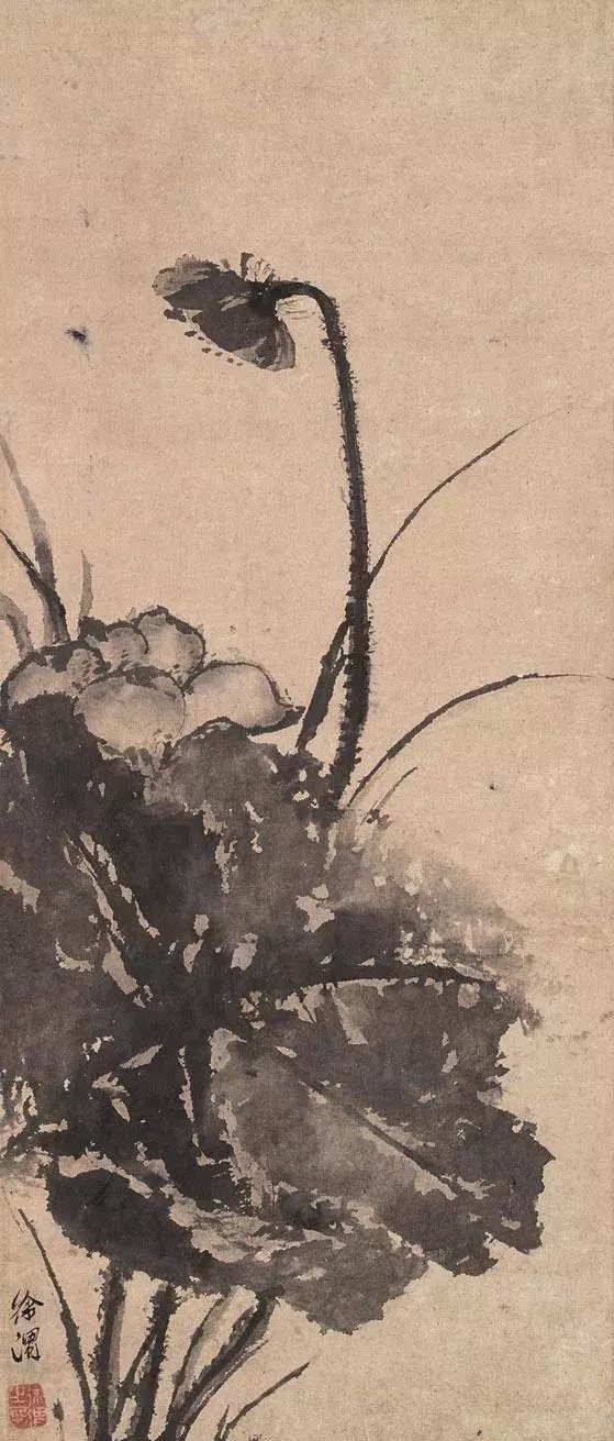 大写意画家徐渭的艺术特点_谁开创了泼墨大写意花鸟画派