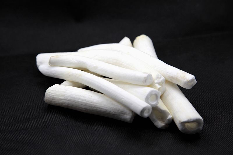 梗通草与通草的区别通草的药效