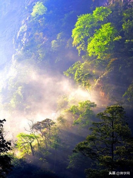 人生如浮云什么意思_人生如浮尘 - 成语词句网