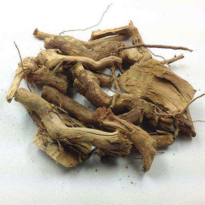 荆根的作用_牡荆叶图片与功效