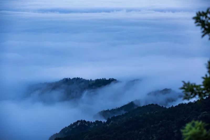 雨后的庐山云雾缭绕美不胜收