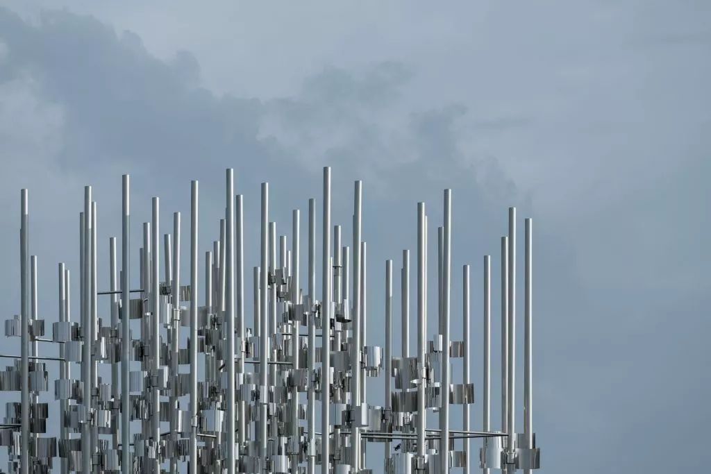 风在动云在动心在动随风起舞下一句