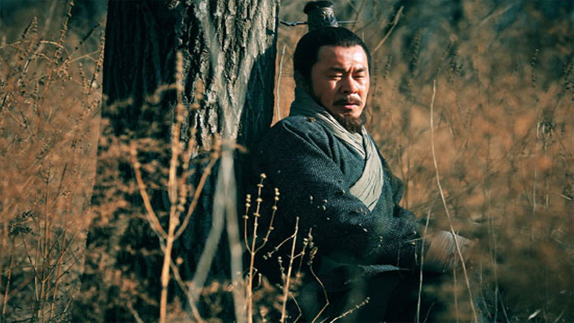 三国哪部电视剧好看_三国演义哪一部最好看 - 成语词句网