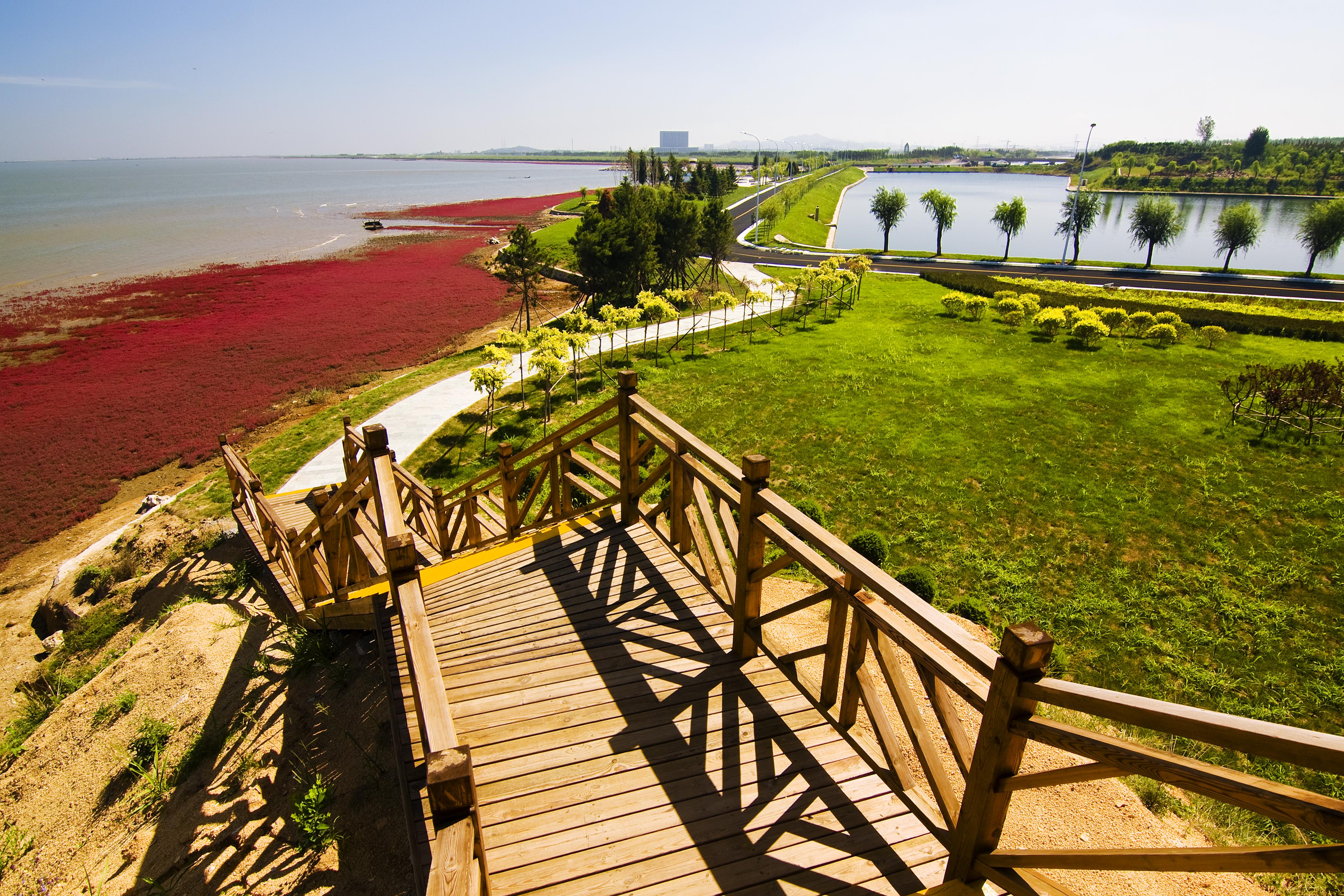 2019营口春季旅游启幕"鸟飞湿地 花开营口"