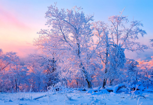 1月份去什么地方旅游比较好_一月份二月份国内适合旅游 - 密云旅游