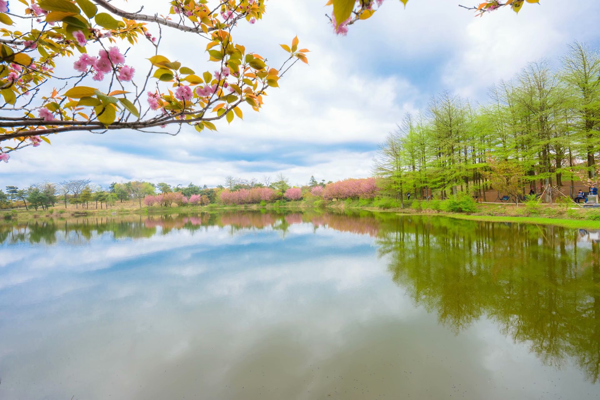 去浙江省宁波余姚市四明山森林公园_余姚四明山景点 - 云林新闻励志网